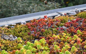 the cost of Stella green roof installation