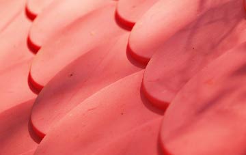 Stella plastic roof costs